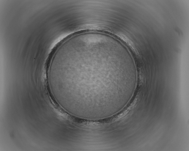 X0000111511070200908041218