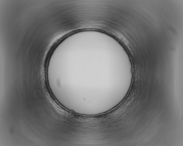 X0000111511072200908041218