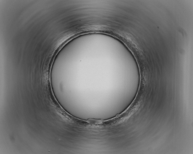 X0000111511073200908041218