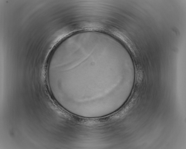 X0000111511074200908041218