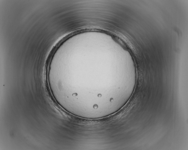 X0000111511076200908041217