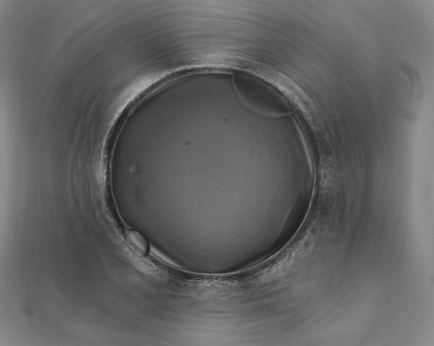 X0000111511077200908041217