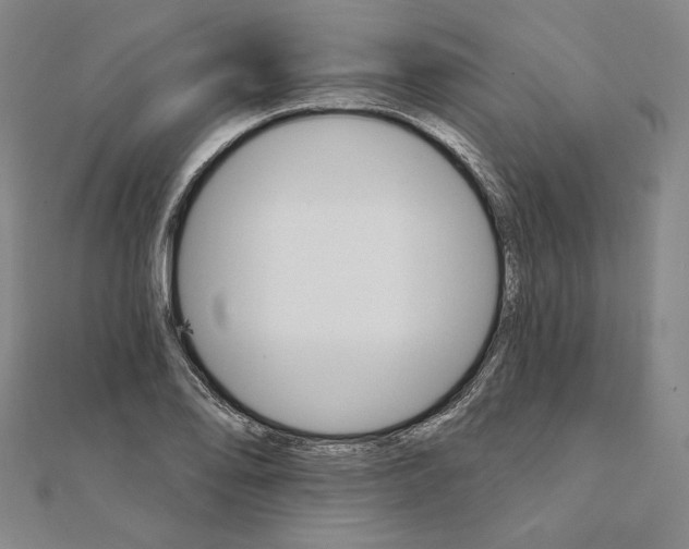 X0000111511078200908041217
