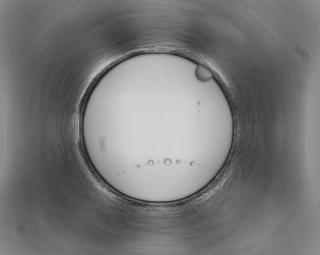 X0000111511079200908041217