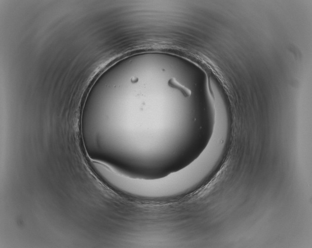 X0000111511081200908041217