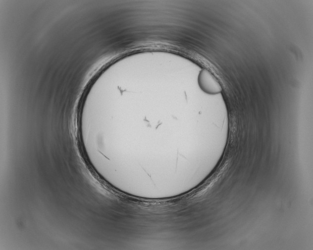 X0000111511082200908041217