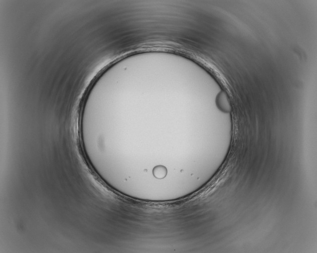 X0000111511083200908041217