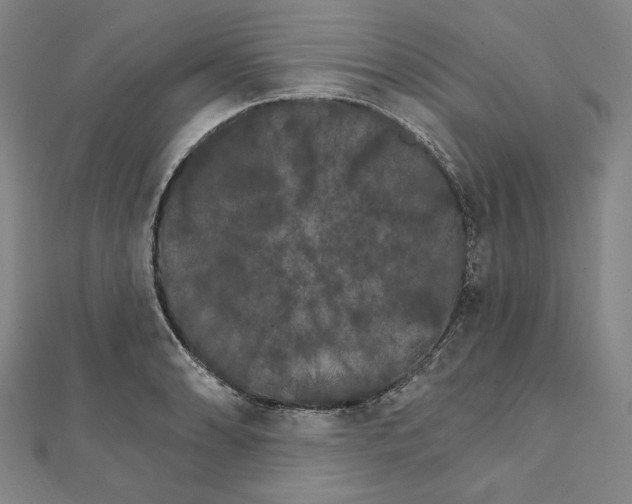 X0000111511086200908041217