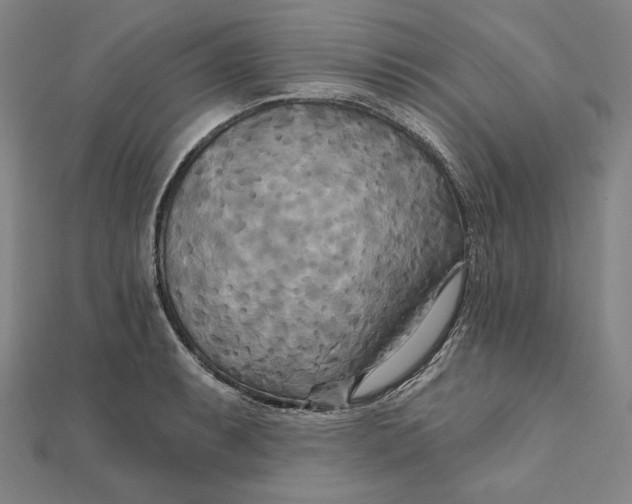 X0000111511087200908041217