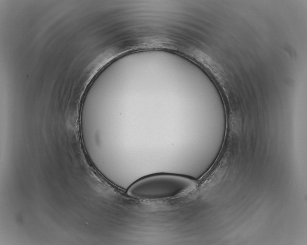 X0000111511089200908041217