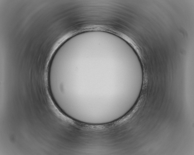 X0000111511090200908041217
