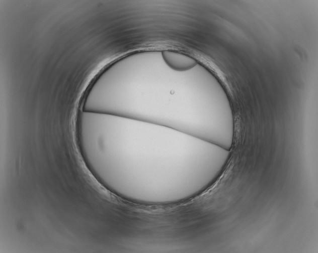 X0000111511091200908041217