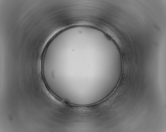 X0000111511092200908041217
