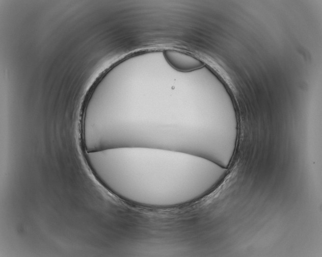 X0000111511093200908041217
