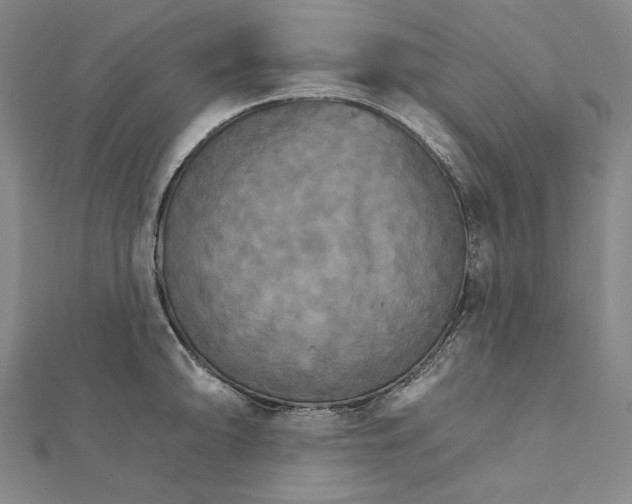 X0000111511094200908041217