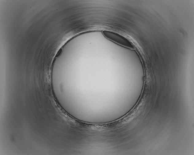 X0000111511097200908041217