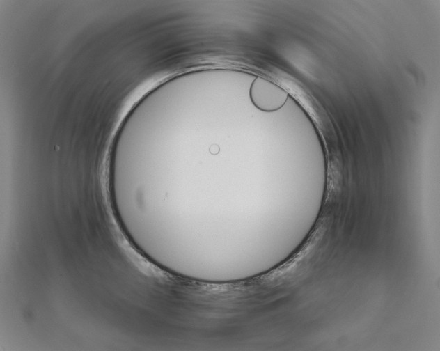 X0000111511098200908041217