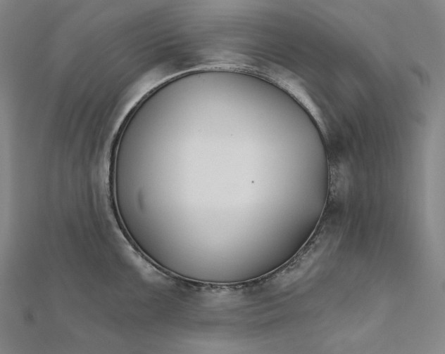 X0000111511099200908041217