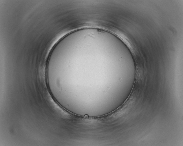 X0000111511100200908041217