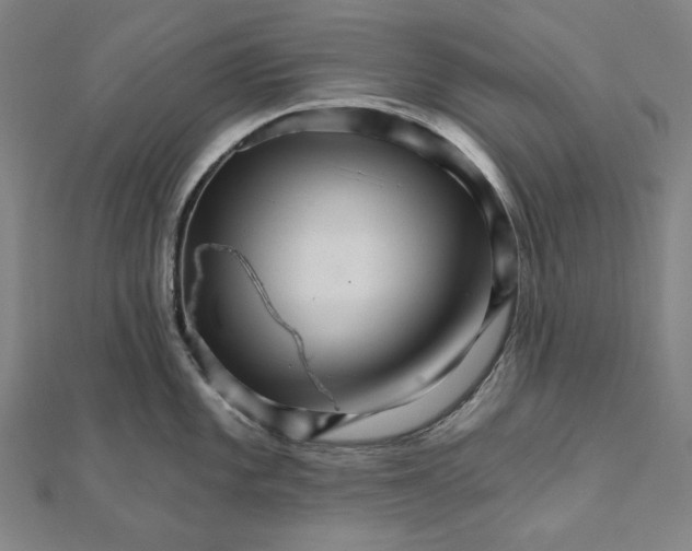 X0000111511101200908041217