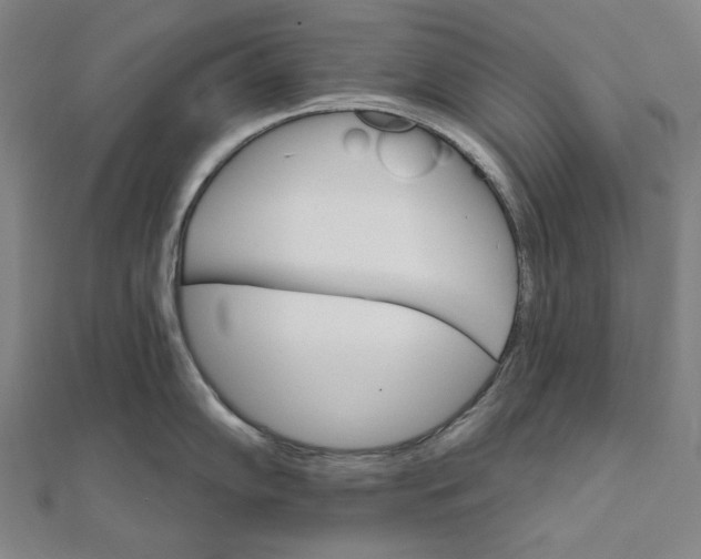 X0000111511102200908041217