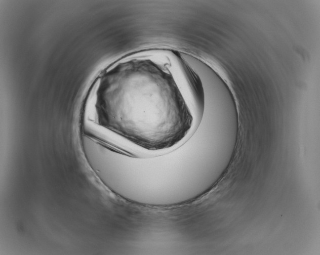 X0000111511104200908041217