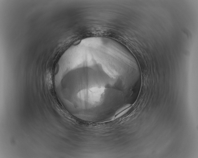 X0000111511106200908041217