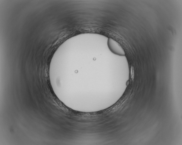 X0000111511107200908041217