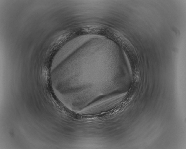 X0000111511108200908041217