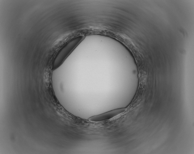 X0000111511110200908041217