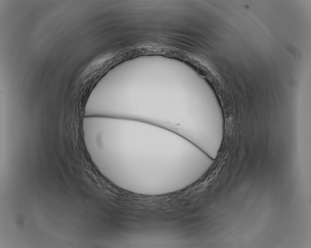 X0000111511111200908041217