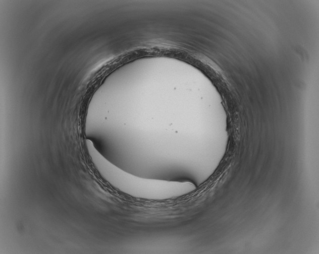 X0000111511112200908041217