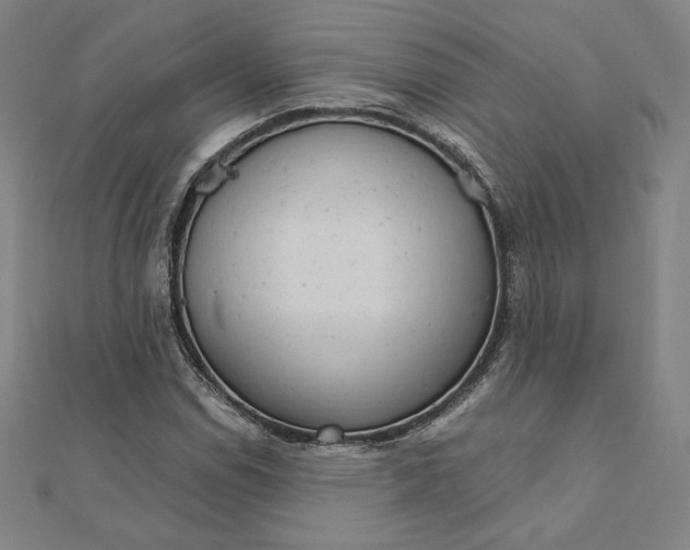 X0000111511114200908041217