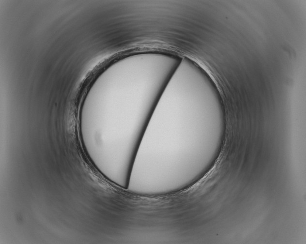 X0000111511115200908041217