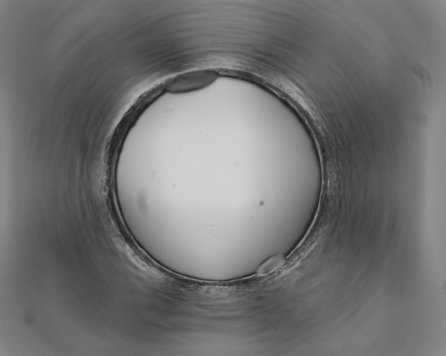 X0000111511116200908041217