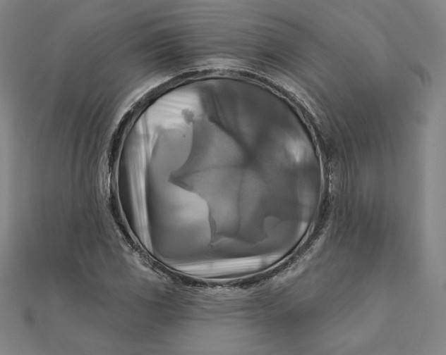 X0000111511117200908041217