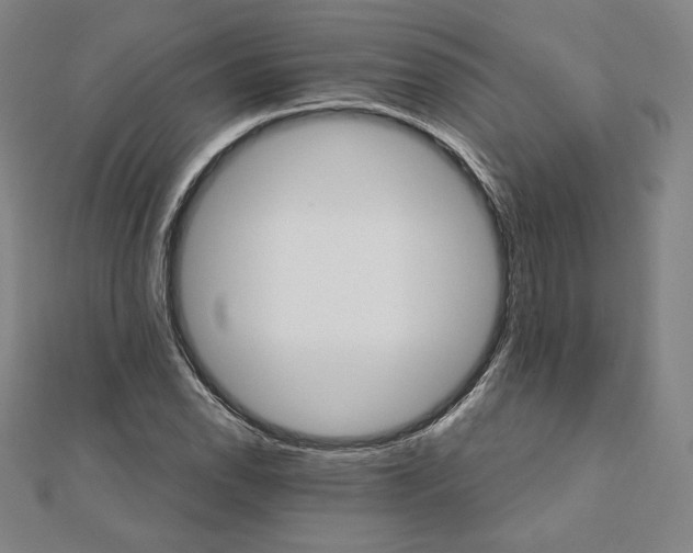 X0000111511118200908041217