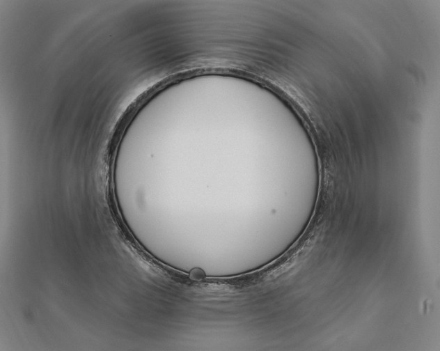 X0000111511119200908041217