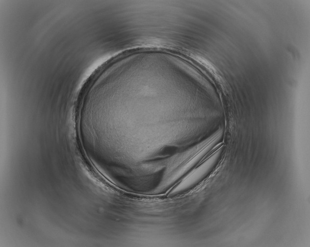 X0000111511120200908041217