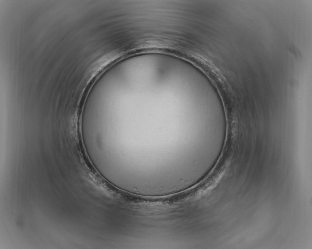 X0000111511121200908041217