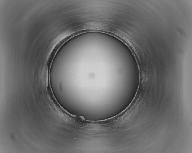 X0000111511123200908041217