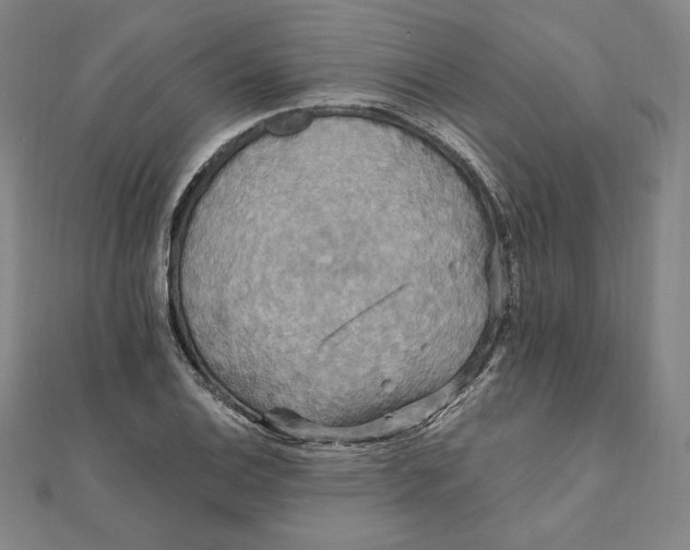 X0000111511124200908041217