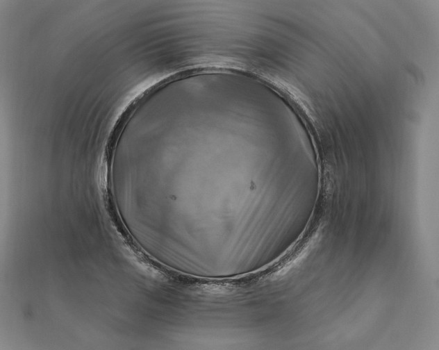 X0000111511125200908041217