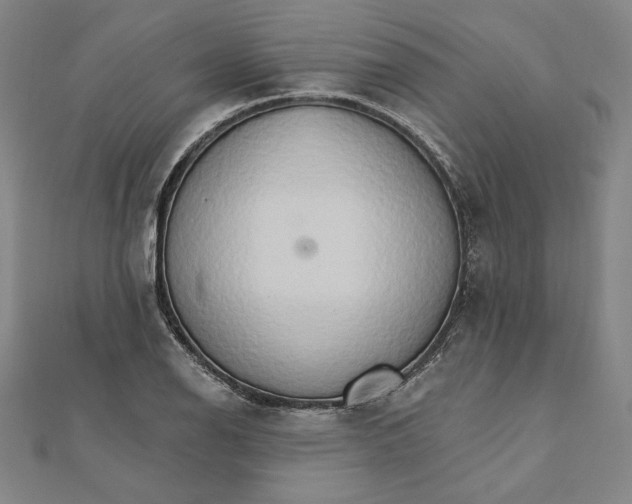 X0000111511126200908041217
