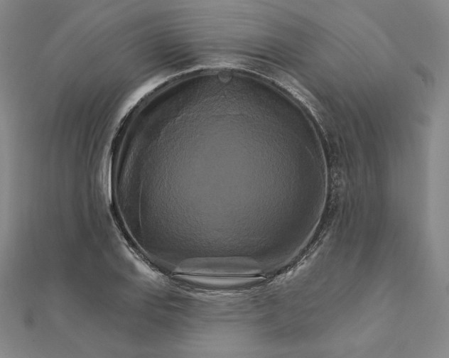 X0000111511127200908041217
