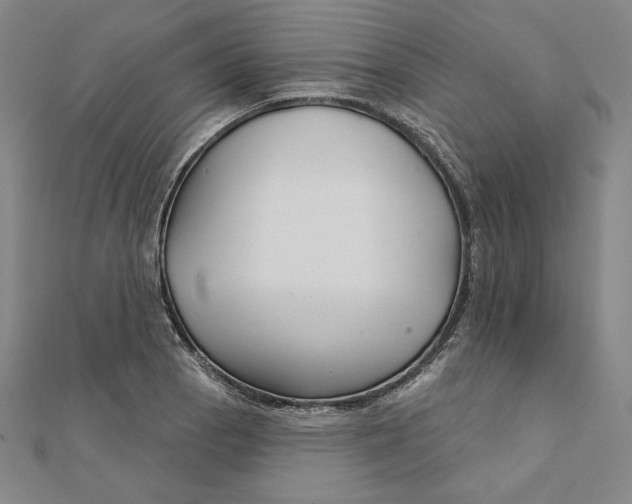X0000111511129200908041217
