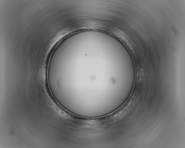 X0000111511130200908041217
