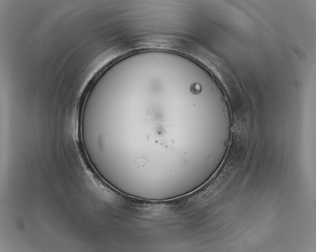 X0000111511131200908041217