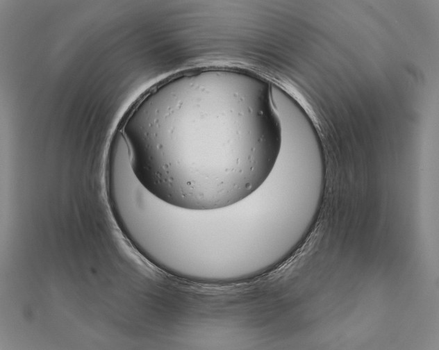X0000111511132200908041217