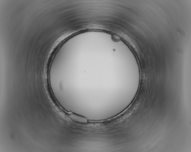 X0000111511133200908041217